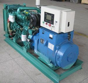 新州镇发电机出租